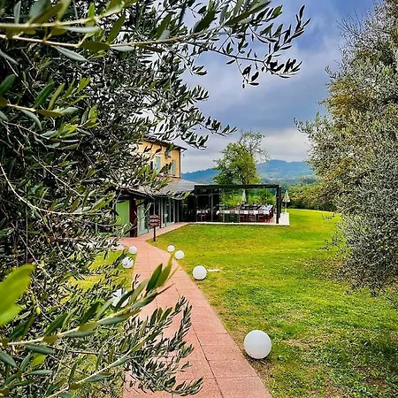 Contea Di Val D'amone * Brisighella